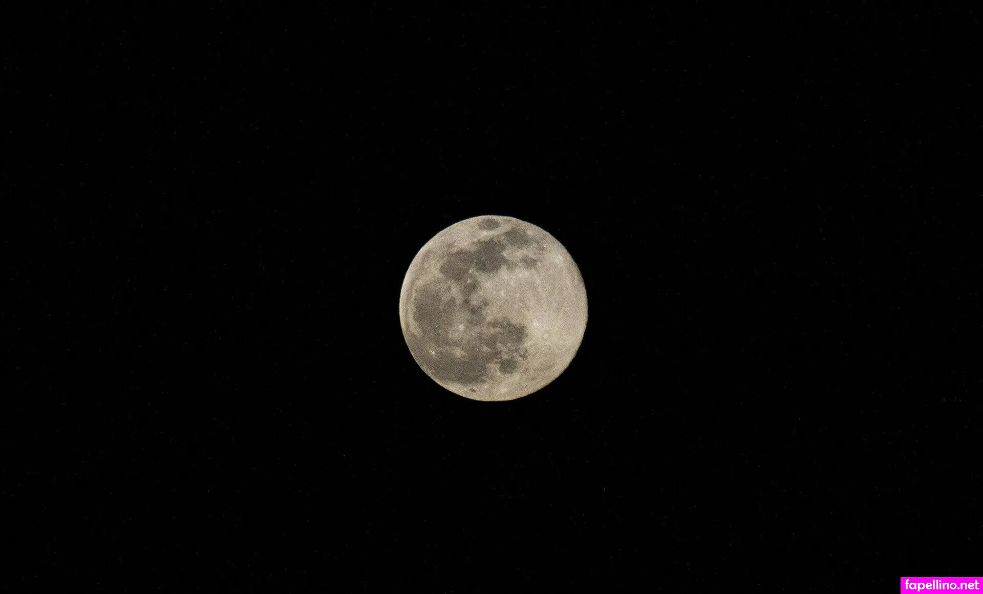 alignwithjuniper, junipershrub Nude Leaked OnlyFans Photo #zTWEfr9Aet