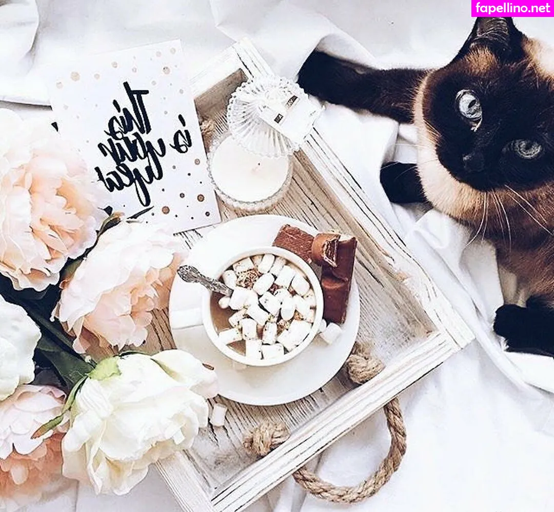 allwene_free, uncle_free_ Nude Leaked OnlyFans Photo #mYgdYom5Zb