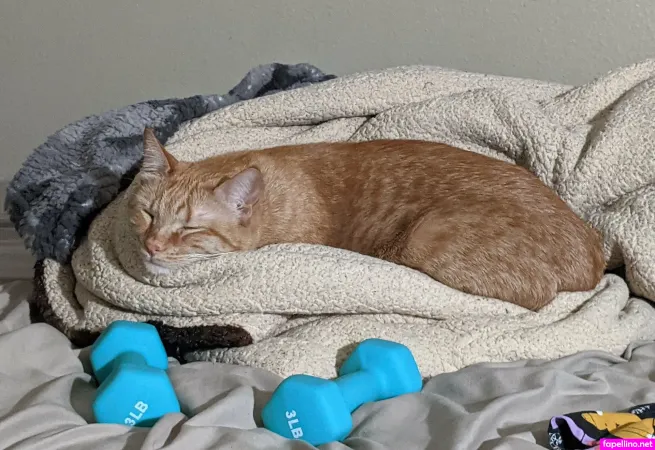 Allycakes 12 Main Profile Photo