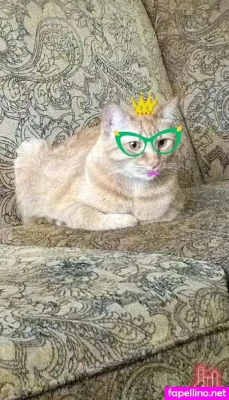 Allycakes 12 OnlyFans Thumbnail #gV9YPvGney