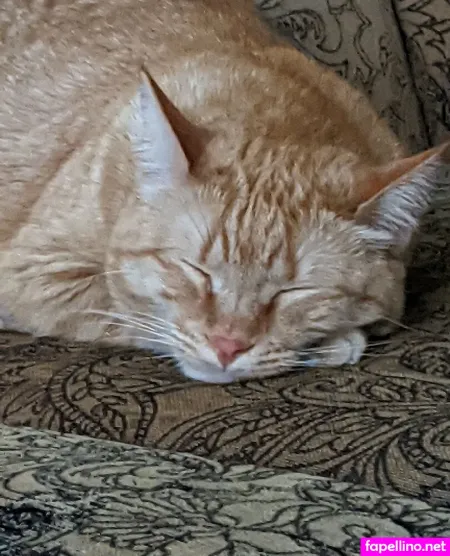 Allycakes 12 OnlyFans Thumbnail #sS1s0CoRa9