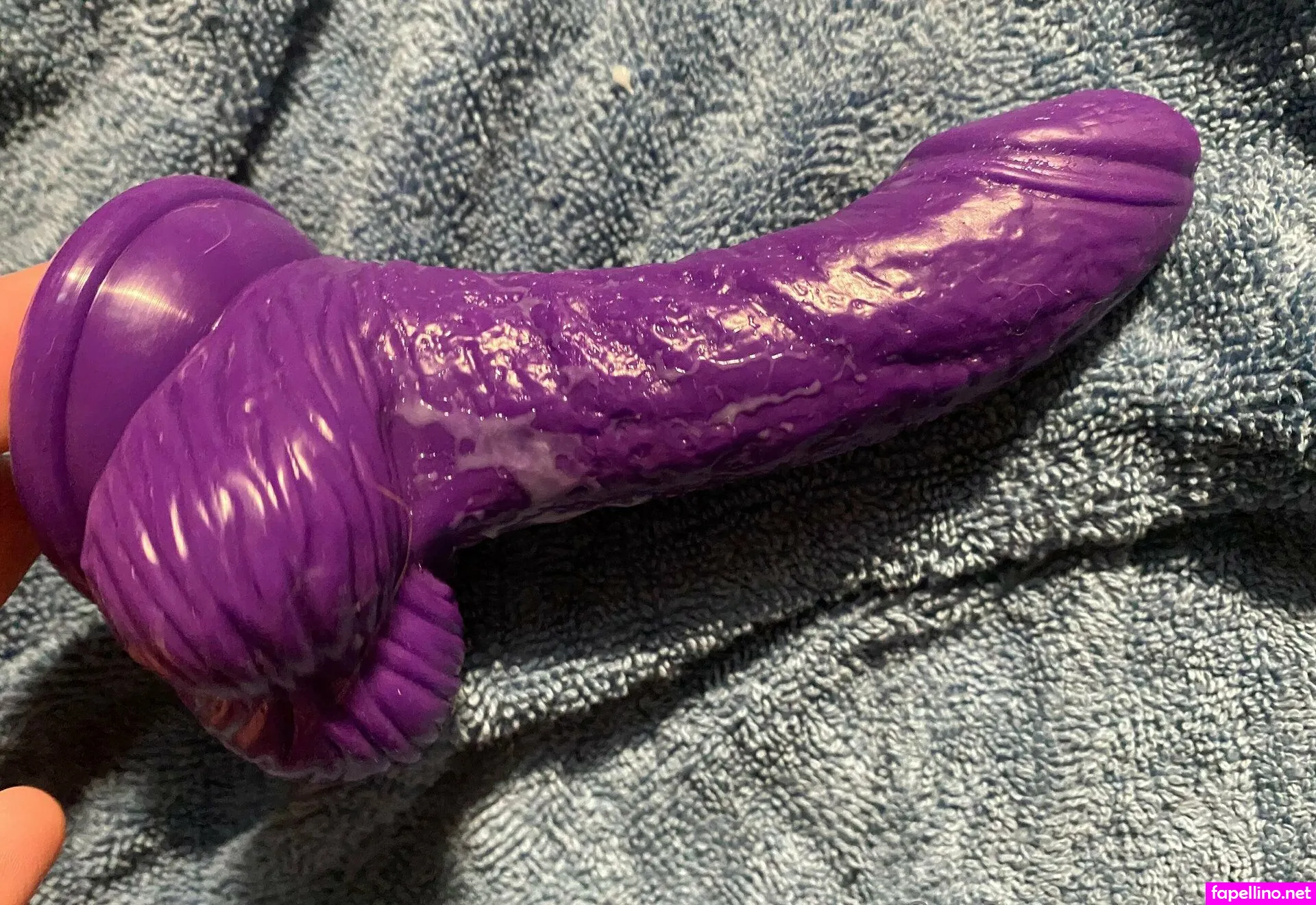 allypics19 Nude Leaked OnlyFans Photo #ZC83q8UujM