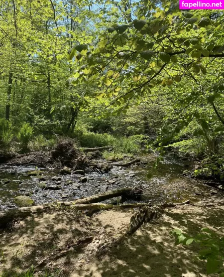 Aloeaceae OnlyFans Thumbnail #TQb15yqFi0