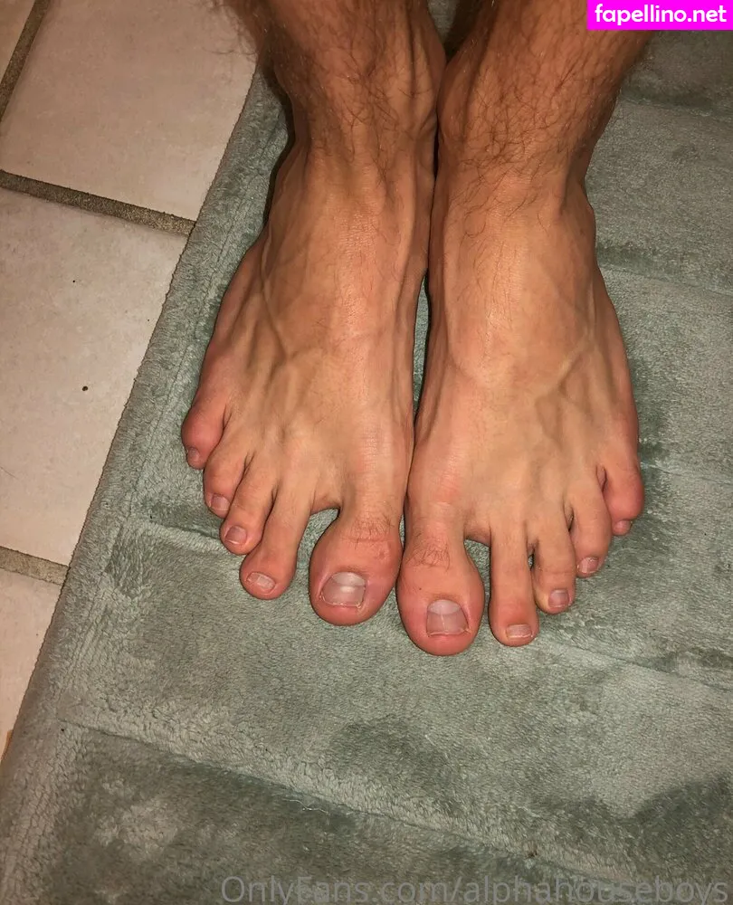 alphahouseboys Nude Leaked OnlyFans Photo #b30zlLEZzo