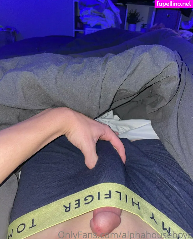 alphahouseboys Nude Leaked OnlyFans Photo #iT53uFD2Nn
