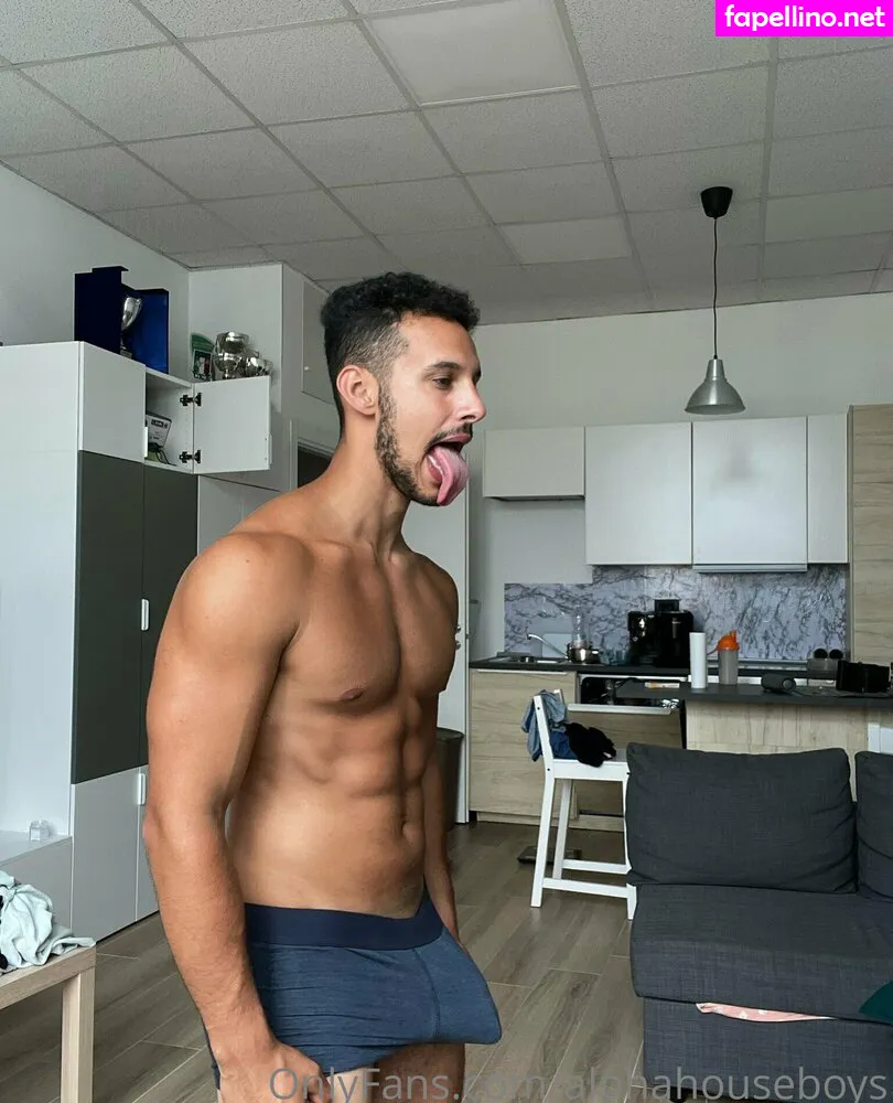 alphahouseboys Nude Leaked OnlyFans Photo #lEXKuQaumT