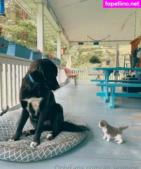 Alt Jasmine OnlyFans Thumbnail #el2cYHXMc7