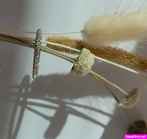 Amanda Mccants Main Profile Photo