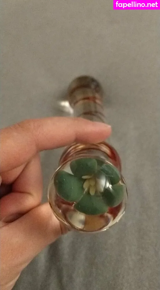 amandaorly, apandaorly Nude Leaked OnlyFans Photo #ZH707wW4dQ