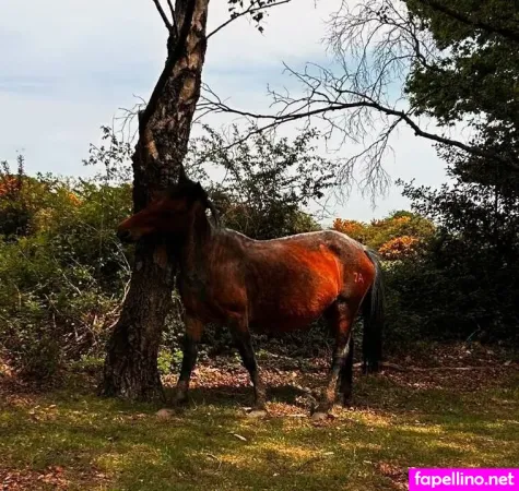 Amara Elise OnlyFans Thumbnail #ORGjgLjp9f