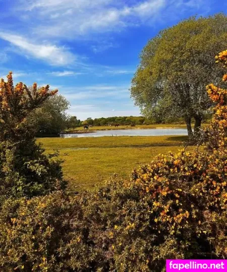 Amara Elise OnlyFans Thumbnail #VnDI088Zgt