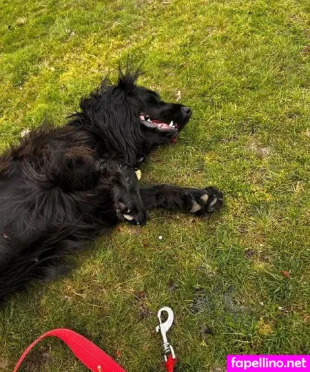 Amara Elise OnlyFans Thumbnail #uKyejogPfU