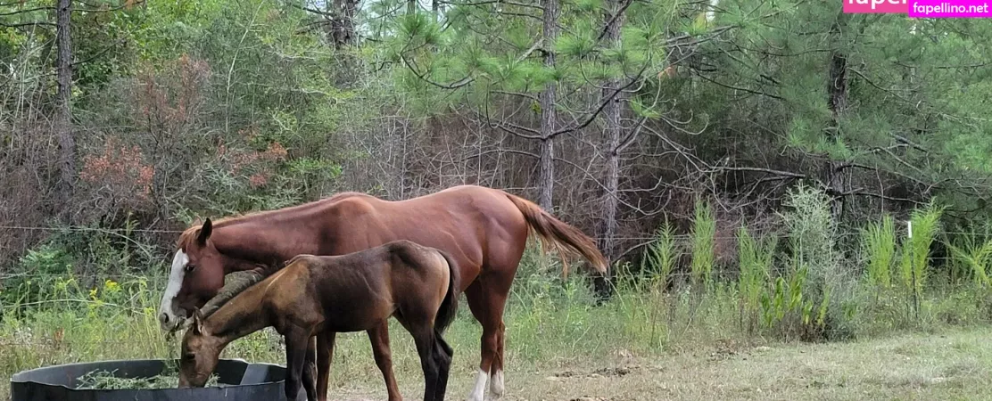 Amarie301 OnlyFans Thumbnail #RWKgI4iOQu