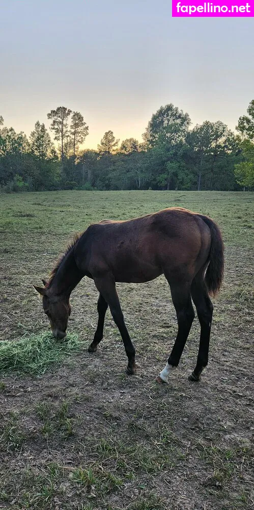 amare310, amarie301 Nude Leaked OnlyFans Photo #vY1iOnOwKs