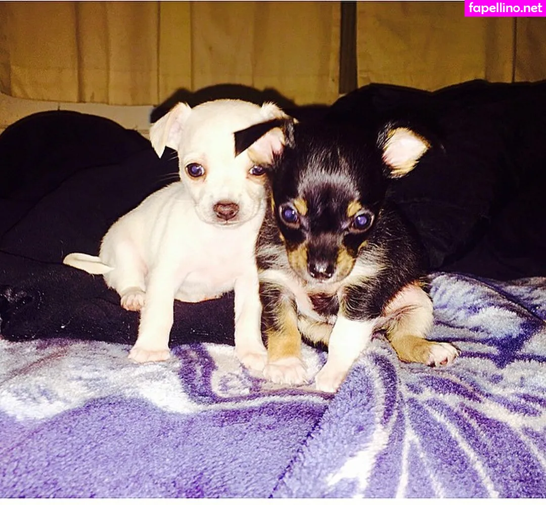 baelarski Nude Leaked OnlyFans Photo #SXQwRiX43T