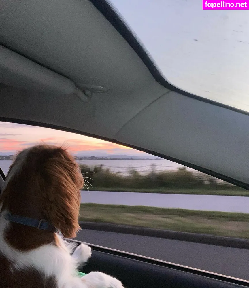 amberlee_lockhart, u213807473 Nude Leaked OnlyFans Photo #kdxDo3w01q