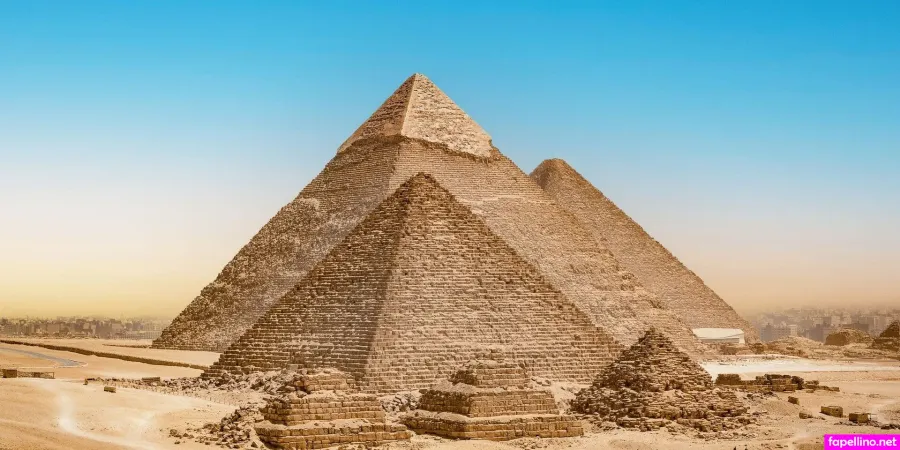 Amelia Adam Main Profile Photo