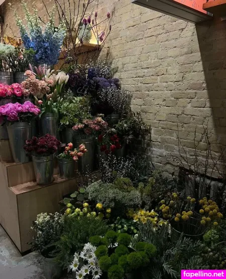 Ameliamoon Main Profile Photo