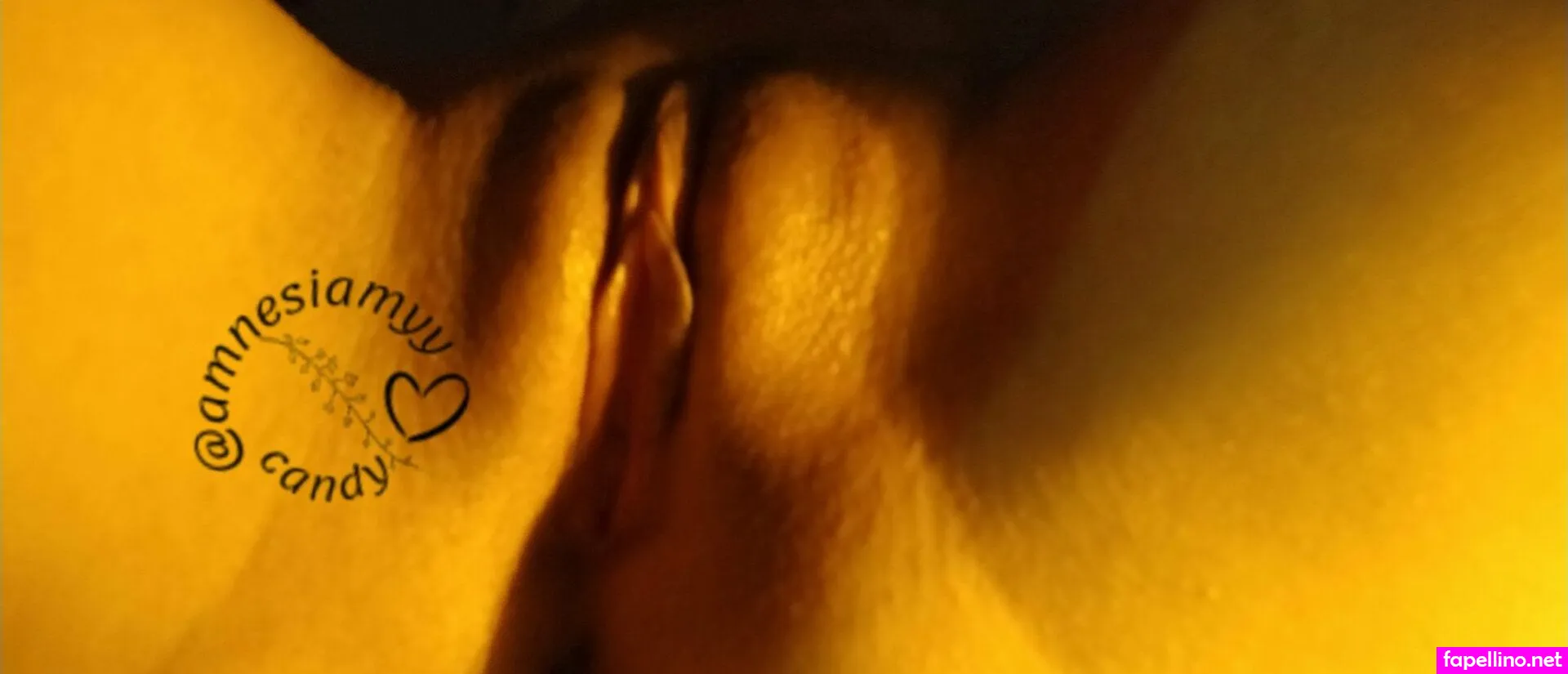 amnesiaonline, seductivesamm Nude Leaked OnlyFans Photo #dcc1VnnHqB