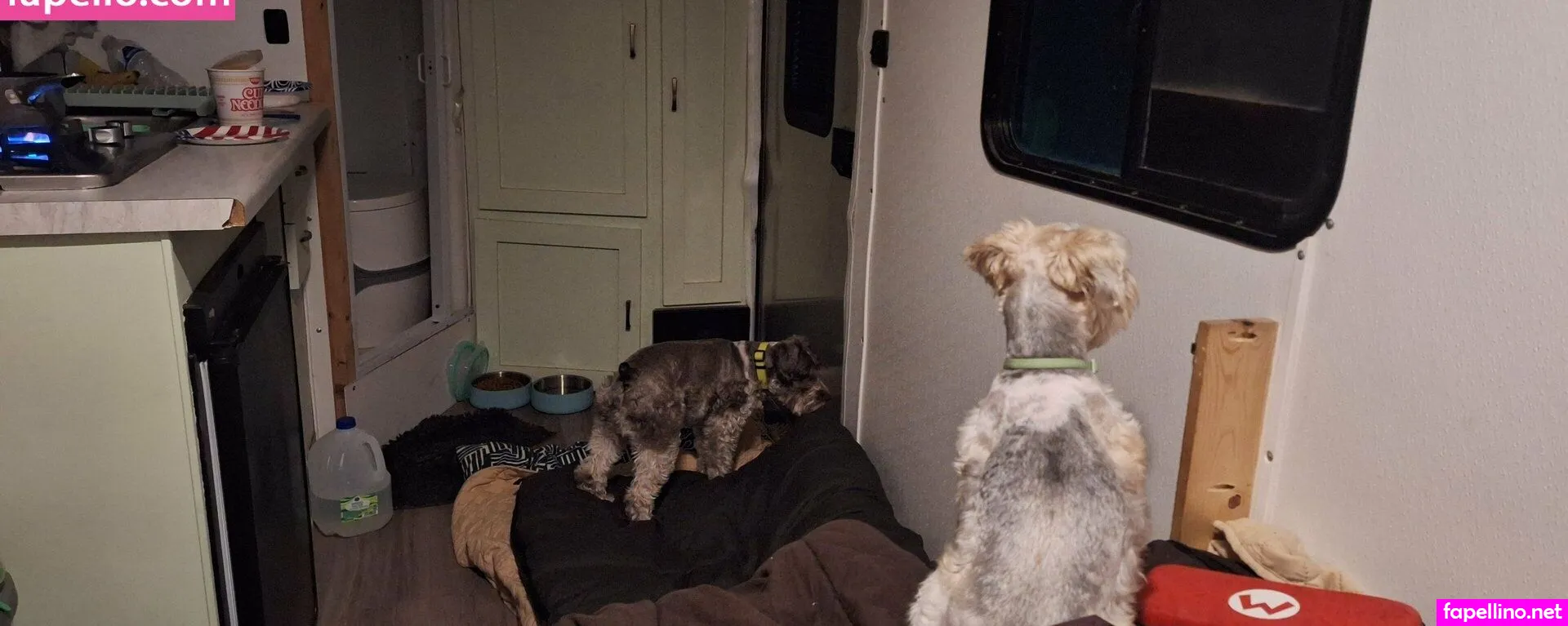 amyparadise Nude Leaked OnlyFans Photo #Kfu6m4aOFJ