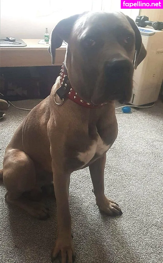 amyroseleal Nude Leaked OnlyFans Photo #5zETsfXj80