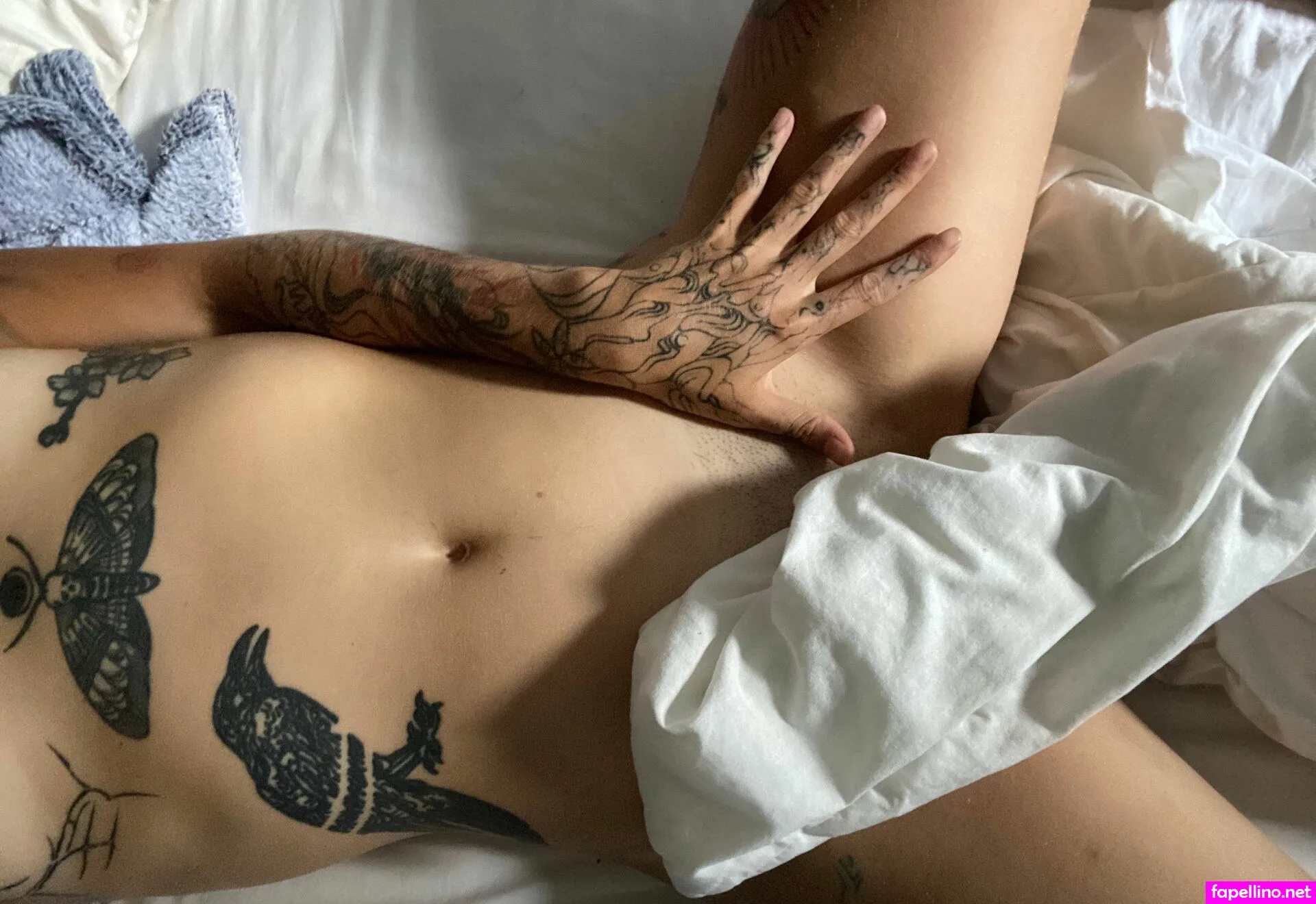 An_Smith, ani_smith Nude Leaked OnlyFans Photo #Stf3LARXwm