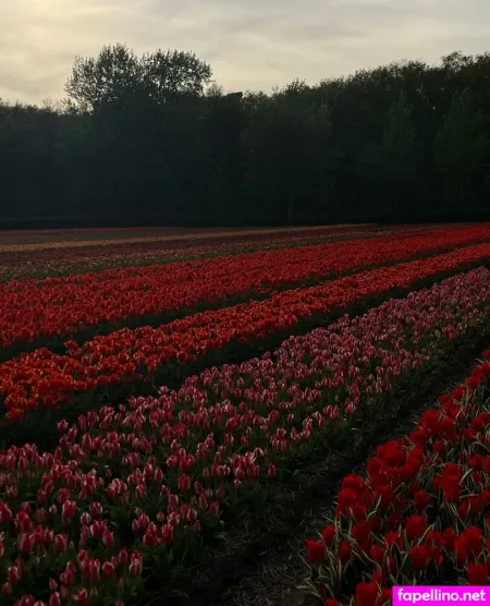 Ana Lago Main Profile Photo