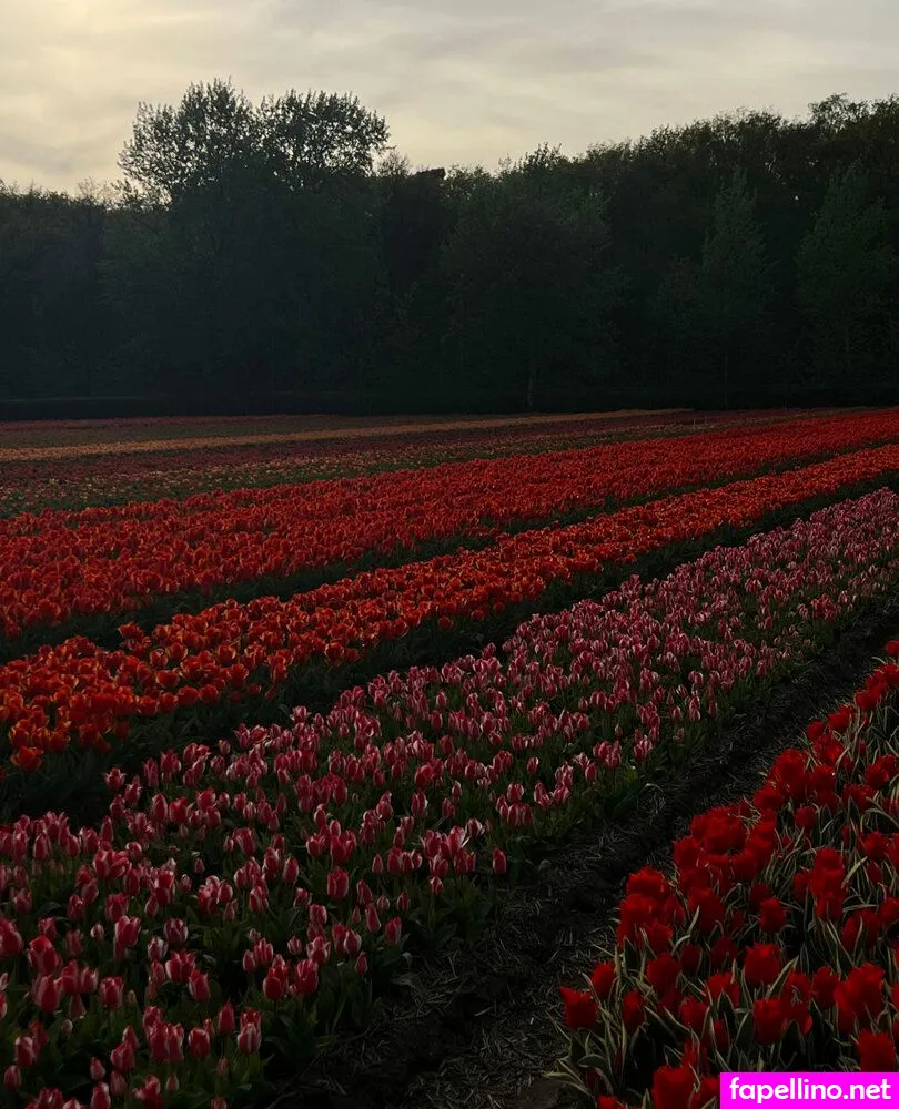 Ana Lago, Ex Exatlon, analago95, anitalago Nude Leaked OnlyFans Photo #At7UkeYoVo