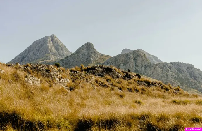 Anacarol Serra 1 Main Profile Photo