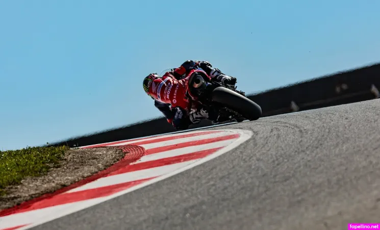 Anacarrasco22 Main Profile Photo