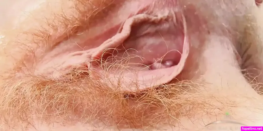 Anacougar Main Profile Photo