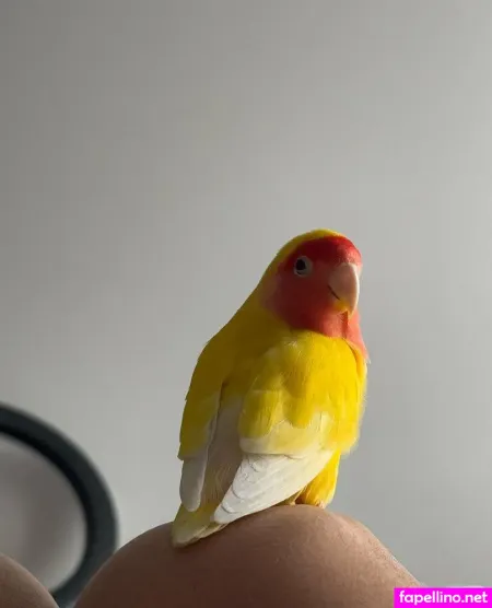 Anastetyk OnlyFans Thumbnail #B9cCnaKWDM