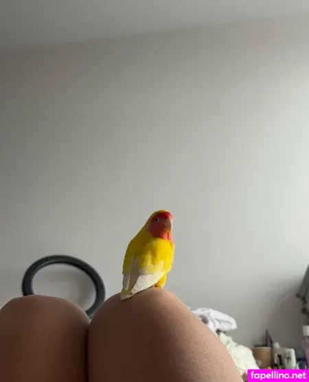 Anastetyk OnlyFans Thumbnail #aEPOuK8HaX