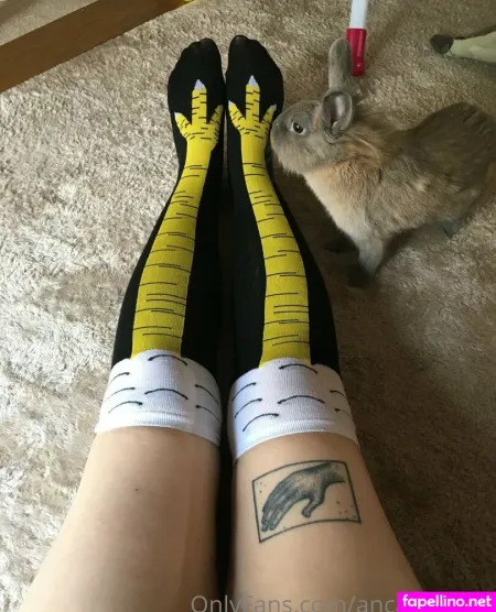 Ancapwrfree OnlyFans Thumbnail #psqjmKyWWW