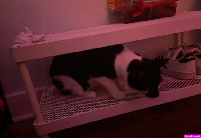 Anexcks OnlyFans Thumbnail #6xheNbXlrf