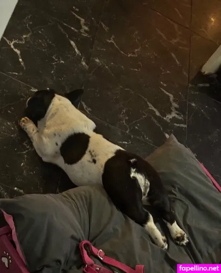 Angelaskye OnlyFans Thumbnail #hxuFSVeR3B