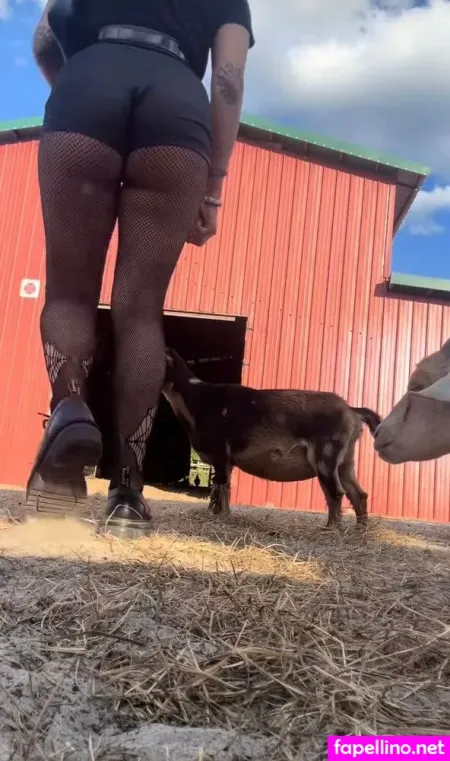 Angelzfal Main Profile Photo