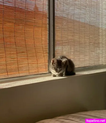 Anika Grace OnlyFans Thumbnail #0sGrcjc8Iv