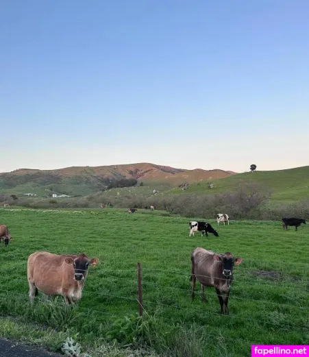 Anika Grace OnlyFans Thumbnail #VylHhLsOsT