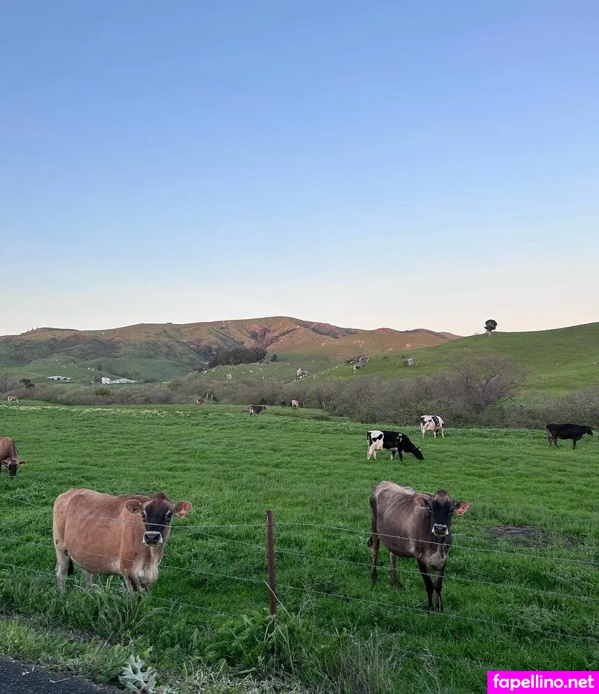 anika.grace, yourlilygrace Nude Leaked OnlyFans Photo #VylHhLsOsT