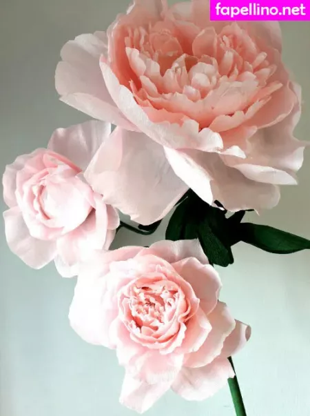 Annie So Sweet OnlyFans Thumbnail #85AJuNicFt