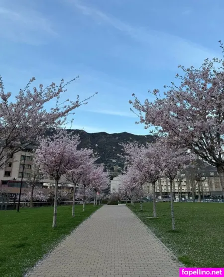 Annynurse OnlyFans Thumbnail #SFpm70B6bD