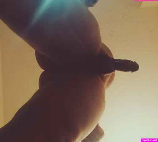 Anondb813 OnlyFans Thumbnail #yCCvAMukFT