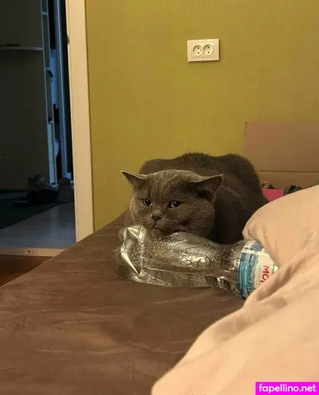 Anyuta18 OnlyFans Thumbnail #5HCLvye2p4