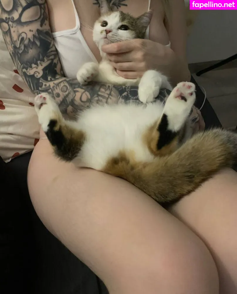 aortacoop, https: Nude Leaked OnlyFans Photo #z5igPpqBdG