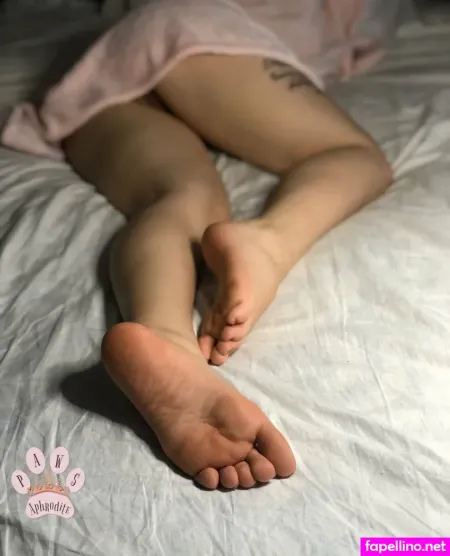 Aphroditepaws OnlyFans Thumbnail #CRnBYi7fxD