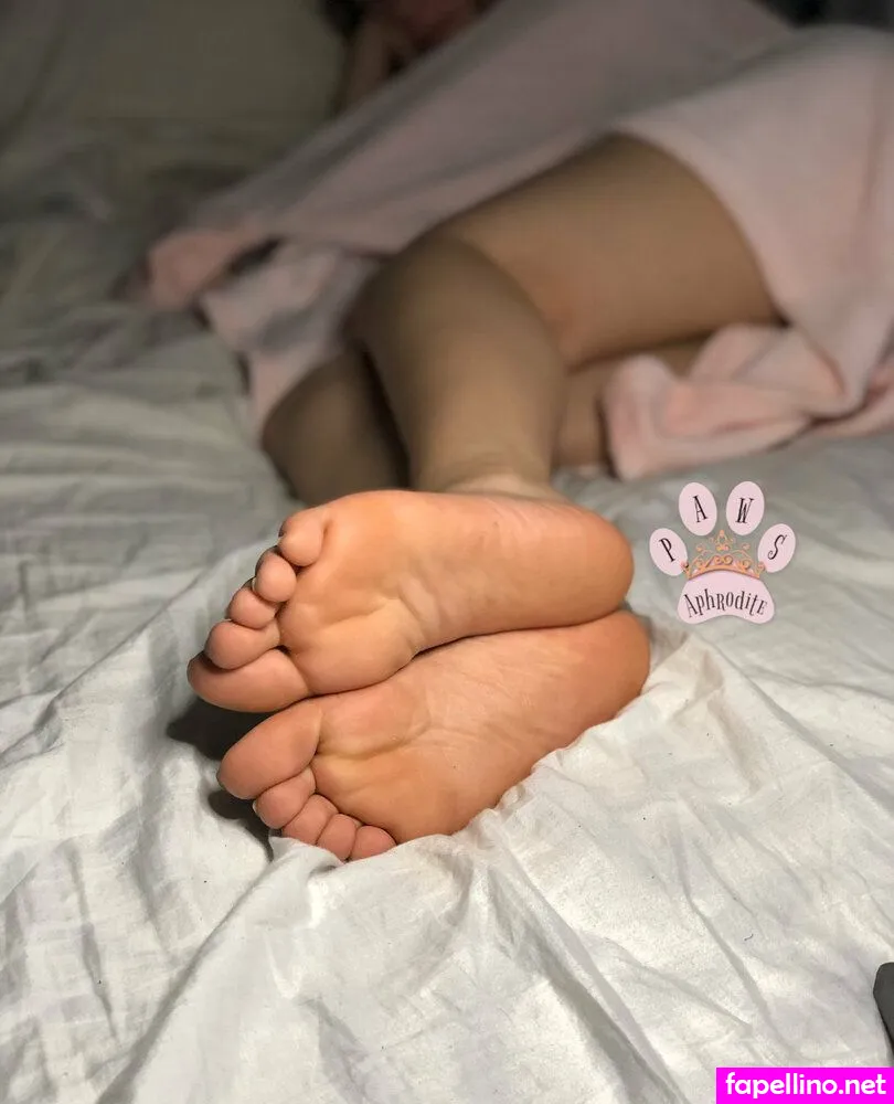 aphroditepaws, goddessaphroditepaws Nude Leaked OnlyFans Photo #b35eHjnQoN