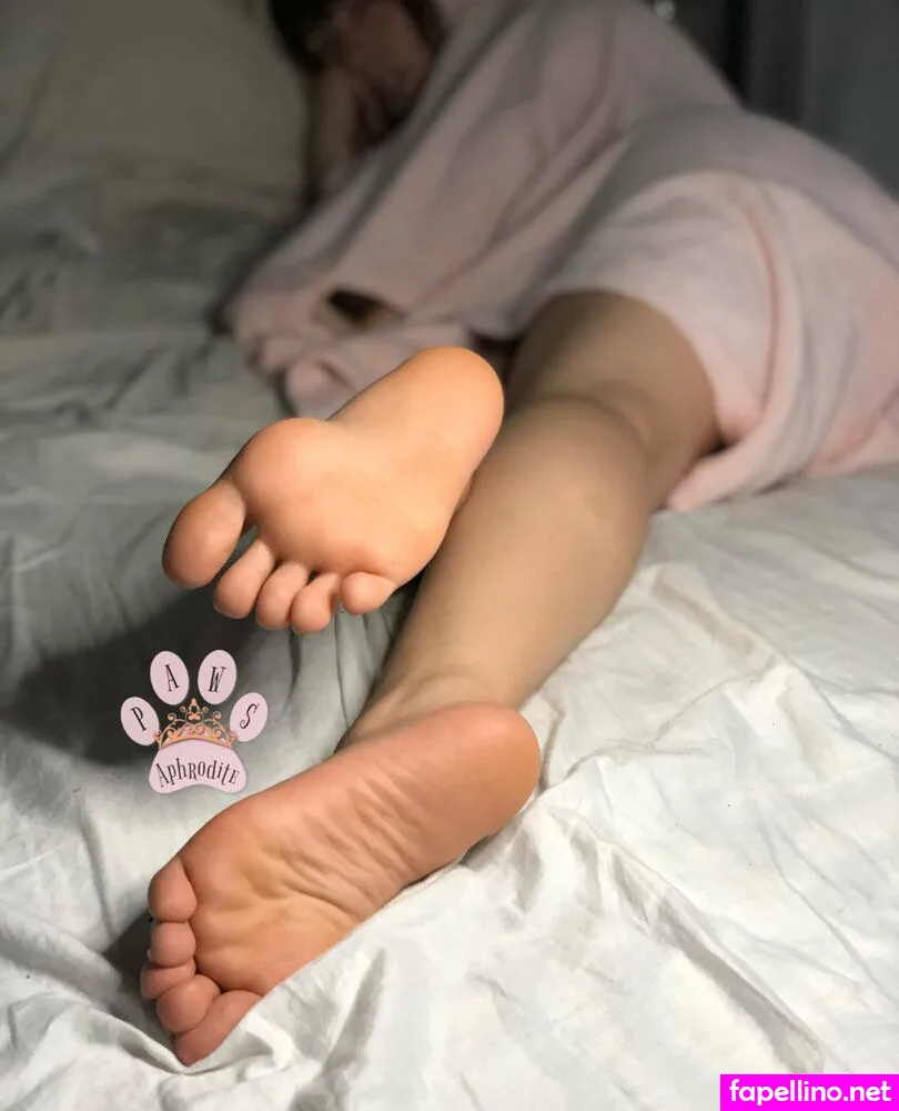 aphroditepaws, goddessaphroditepaws Nude Leaked OnlyFans Photo #rz0Z8LIXsq
