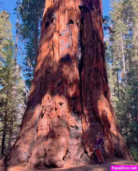 Aprilgloria OnlyFans Thumbnail #klcfcuFbZ5