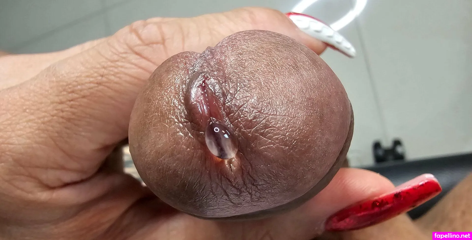 aranxasmith Nude Leaked OnlyFans Photo #HIHyTFocef